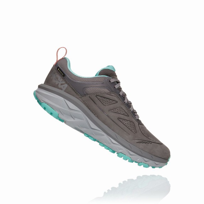 Hoka One One CHALLENGER LOW GORE-TEX Fjellsko Dame Grå | LQl3s6OH