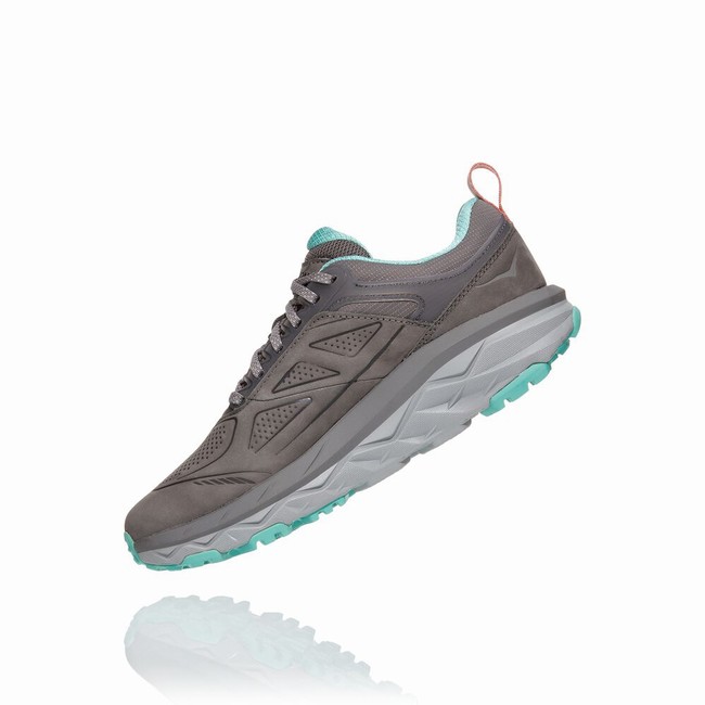 Hoka One One CHALLENGER LOW GORE-TEX Fjellsko Dame Grå | LQl3s6OH