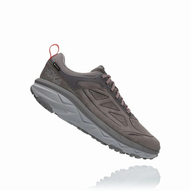 Hoka One One CHALLENGER LOW GORE-TEX Fritidssko Herre Grå | zbXw5oKl